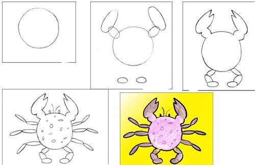 Краб контур