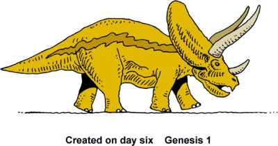 Как нарисовать трицератопса (60 фото)