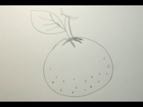 Рисунки для срисовки мандарин