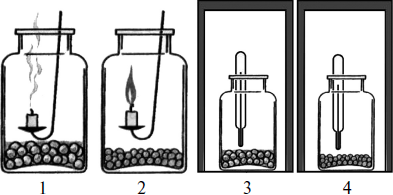 Эксперимент дыхание семян