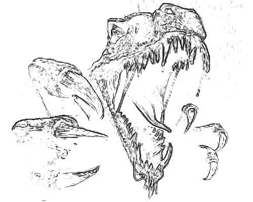 Выжигание. Хищный птеродактиль