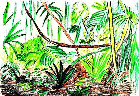 Нарисовать джунгли карандашом
