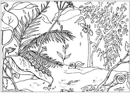 Джунгли раскраска для детей растительность