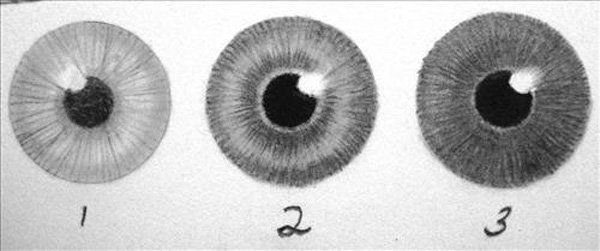 Зрачок глаза рисунок карандашом