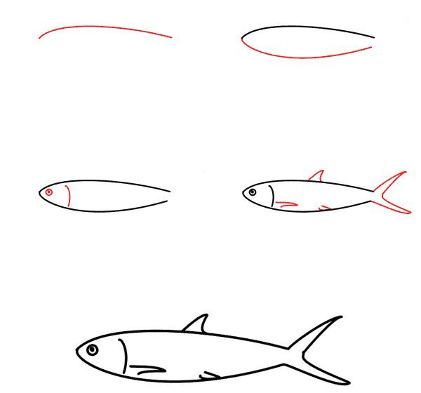 Как правильно рисовать рыбу