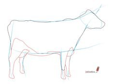 Рисуем бычка поэтапно