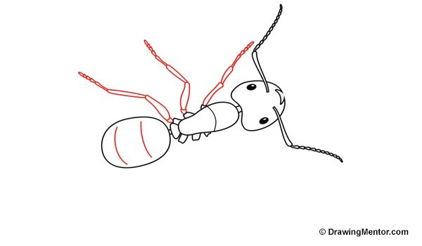 Муравей quick draw