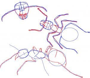 Муравей рисунок сложный карандашом