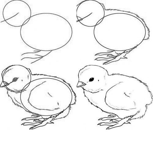 Алгоритмы рисования для дошкольников