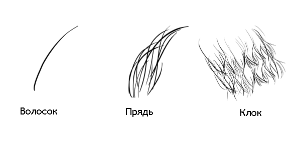 Рисуем шерсть животных