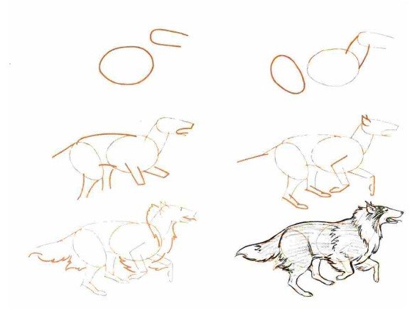 Схема для рисования Волков