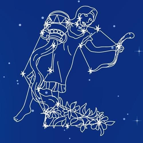 Созвездия зодиака Водолей