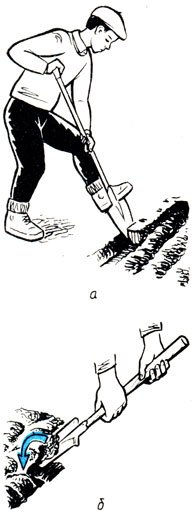 Лопата устройство приемы вскапывания почвы