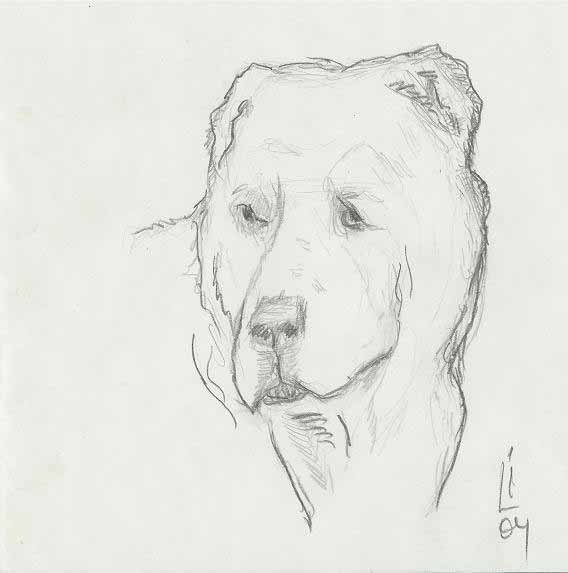 Среднеазиатская овчарка алабай рисунки