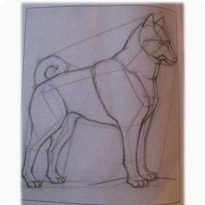 Кавказская овчарка раскраска