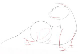 Хорек поэтапное рисование