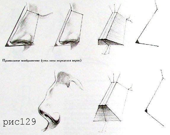 Схема рисования носа человека