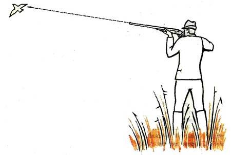 Охотник целится в утку