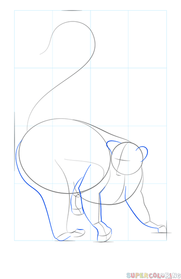 Лемур поэтапное рисование