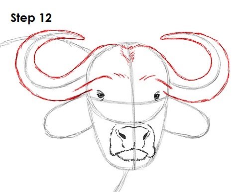 Поэтапное рисование быка