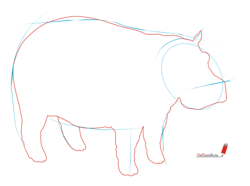 Контур бегемота для рисования