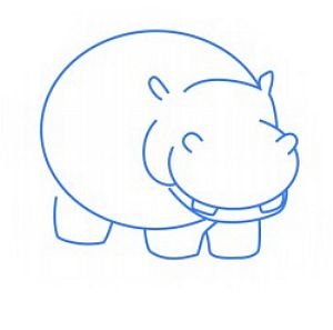 Строение бегемота