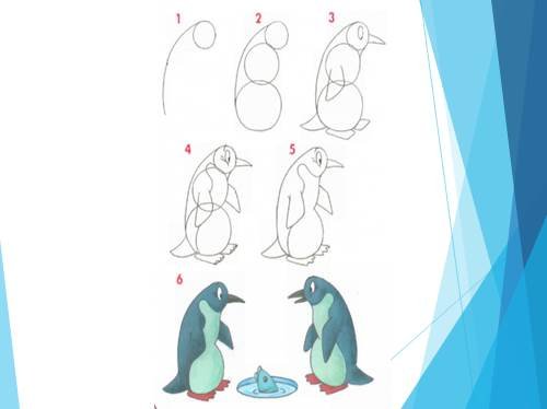Поэтапное рисование пингвина