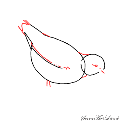 Поэтапное рисование куропатки