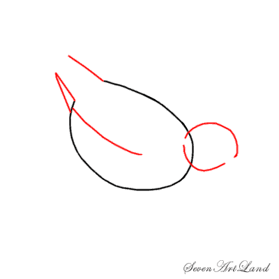 Пошаговое рисование куропатки