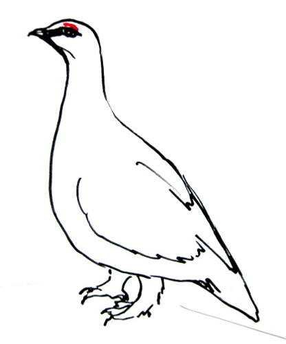 Михаил пришвин птицы под снегом