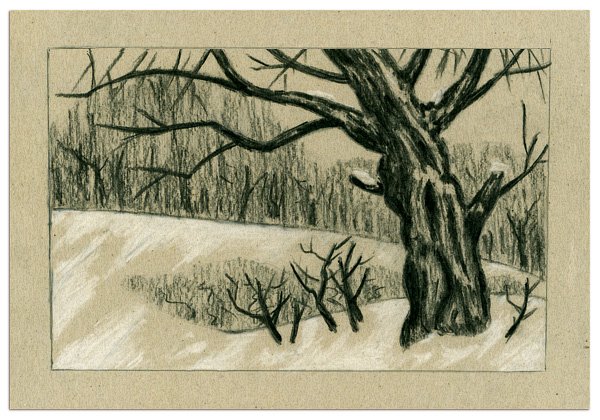 Изо Графика зимнего леса