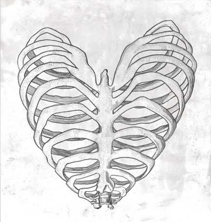 Эскиз на ребра