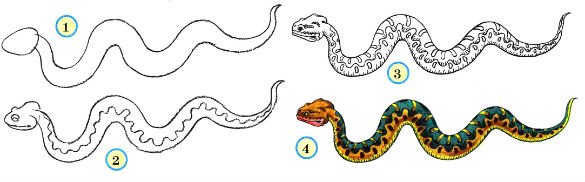 Рисунок змеи схема
