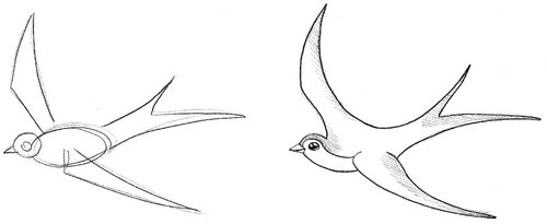 Ласточка пошаговое рисование для детей