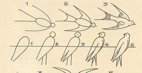 Поэтапное рисование ласточки