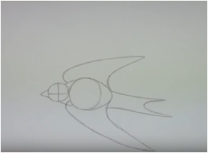 Этапы рисования ласточки