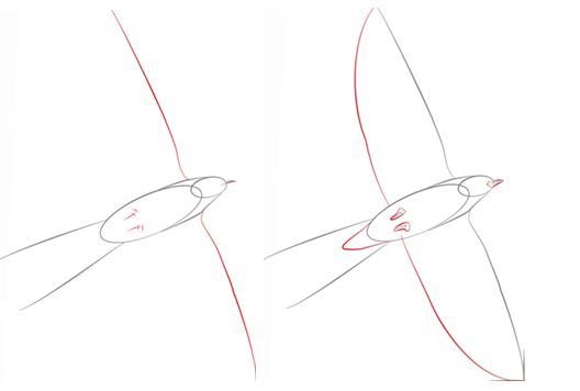 Этапы рисования ласточки
