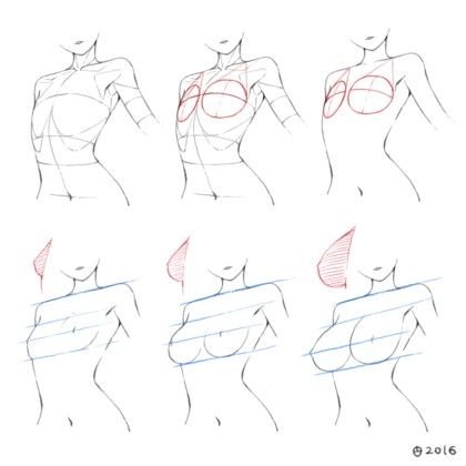 Рисование груди