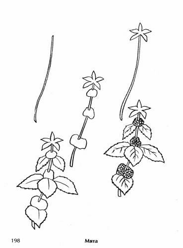 Лист крапивы трафарет