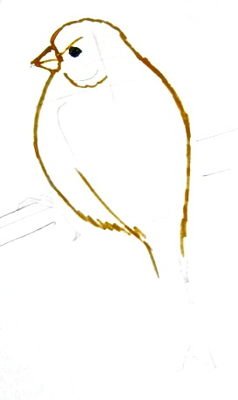 Рисование птиц для детей