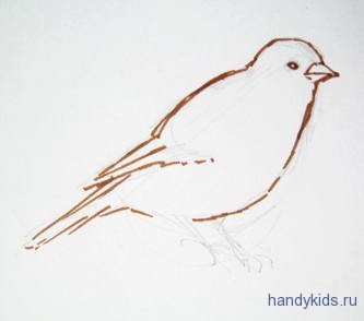 Как нарисовать Салов я