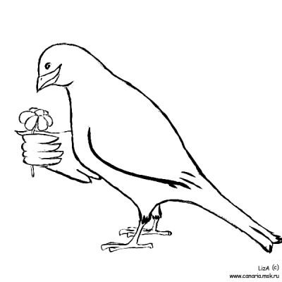 Три канарейки Аксаков