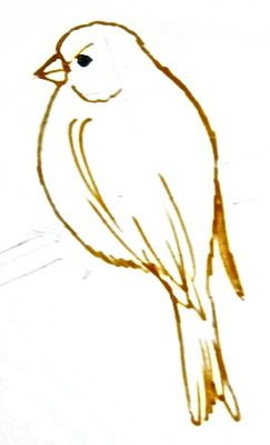 Рисование канарейка