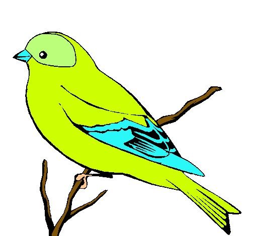 Рисование птиц