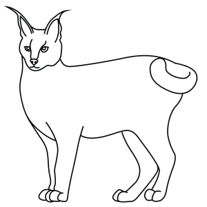 Каракал раскраска