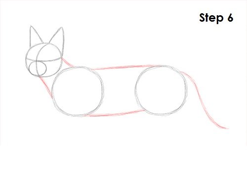 Поэтапный рисунок каракала