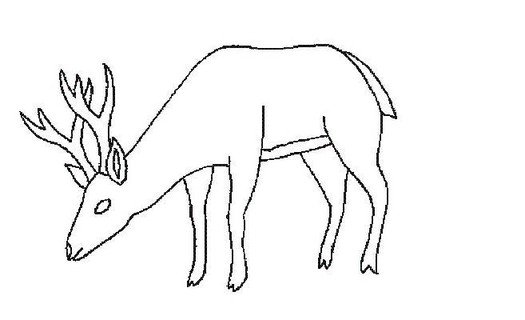 Косуля карандашом