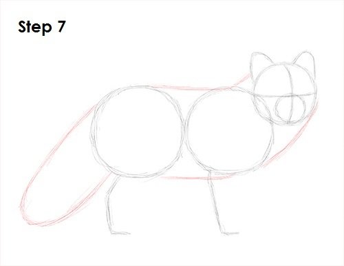 Песец схема рисования