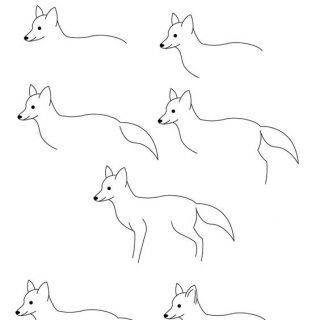 How to draw a Fox