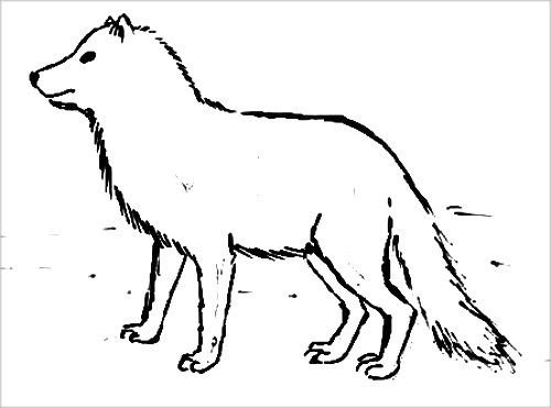 Писец для срисовки